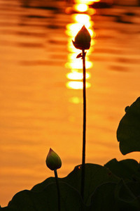 精彩回放令人陶醉长久难忘