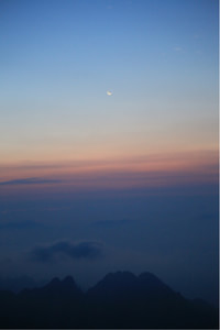 富勒姆中场发挥出色，演绎精彩传球配合