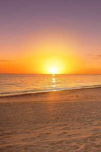 里尔取得六连胜，成为本赛季黑马？