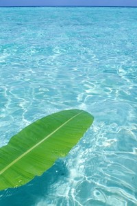 热刺黄金后卫纵横驰战，冲势无可阻挡