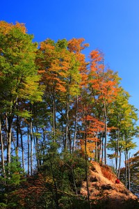 摩纳哥遭遇连败，保级形势堪忧