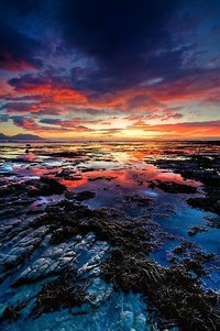 瑞典队在场上表现强大