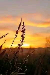 推动足球进程对从事国际足球的比赛性造成了明显影响