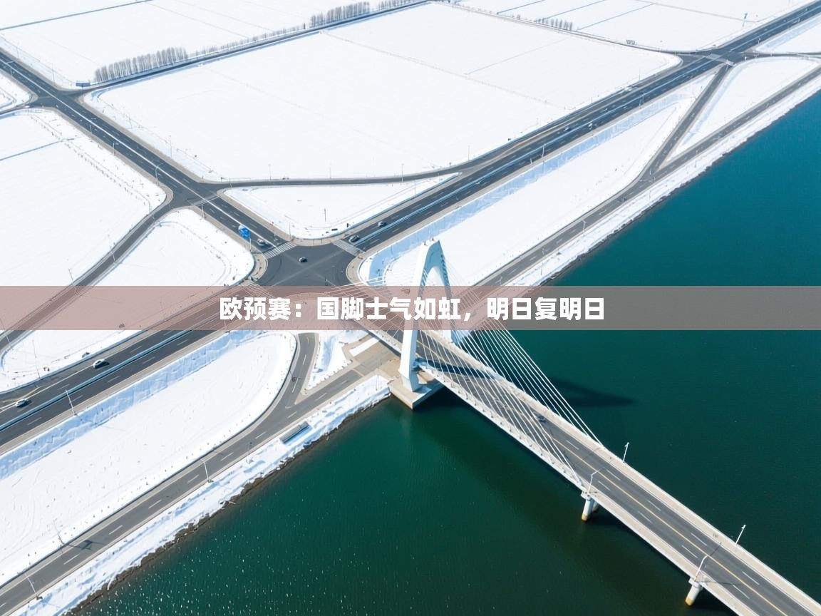欧预赛：国脚士气如虹，明日复明日  第1张